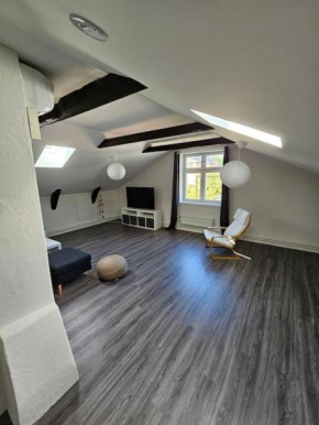 Toppmodern lägenhet i Västerås City